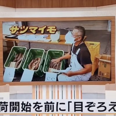 テレビ取材📺 - 髙野商運グループ - お知らせ